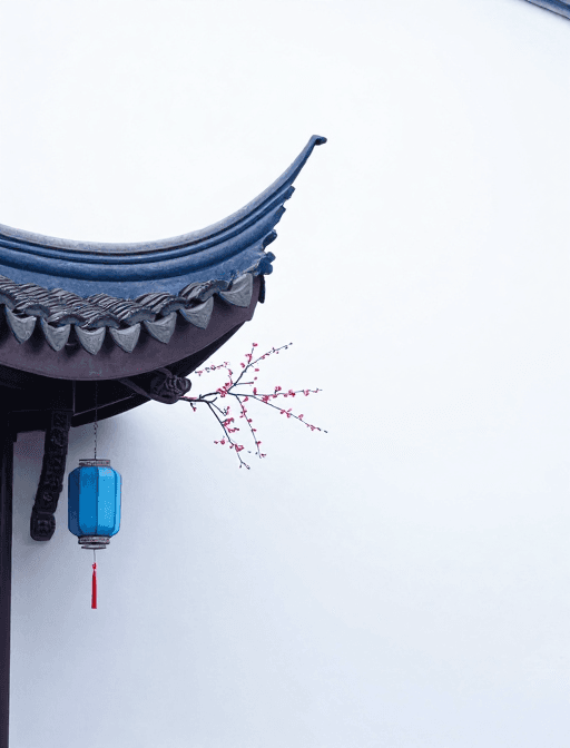 背景素材素材：东方禅意：蓝白飞檐与梅花的静谧留白之美