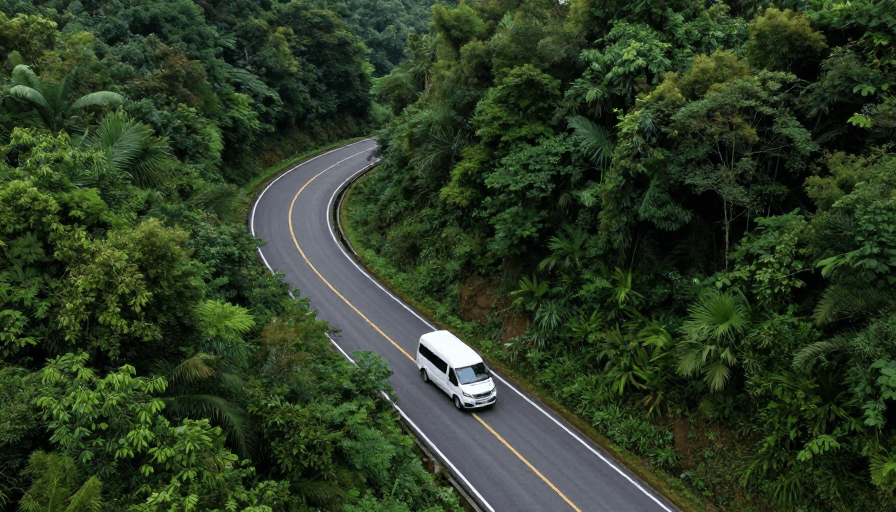 公路风景素材：秘境绿途：蜿蜒公路与森林的静谧之旅
