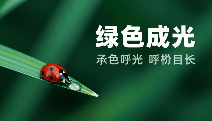 水润质感细节素材：静谧绿叶与瓢虫：微距自然之美