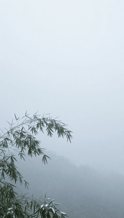 留白构图素材：禅意竹林雪景：孤寂背影在雾中若隐若现