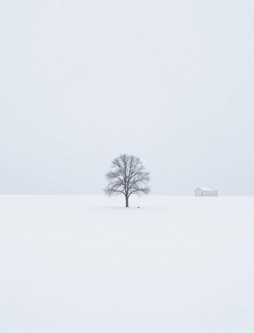 自然摄影素材：极简雪景：天地间的孤树/屋影与静谧人形