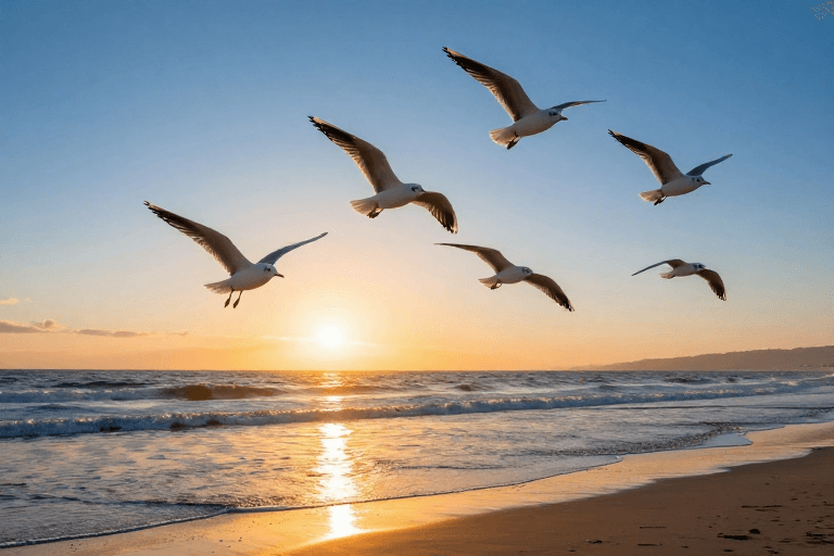 海鸥飞翔素材：夕阳下海鸥翱翔：海滩日落的绝美瞬间