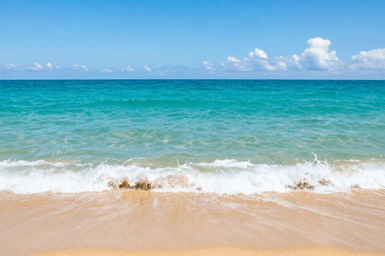 清澈海水素材：碧海金沙：自然日光下的纯净海岸风光