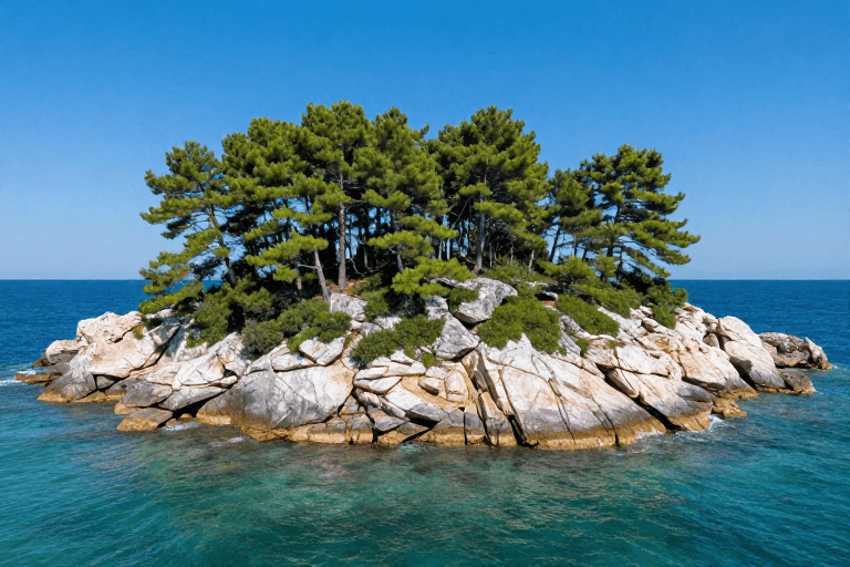 岩石纹理素材：碧蓝海岛松林秘境：自然光影下的绝美风光